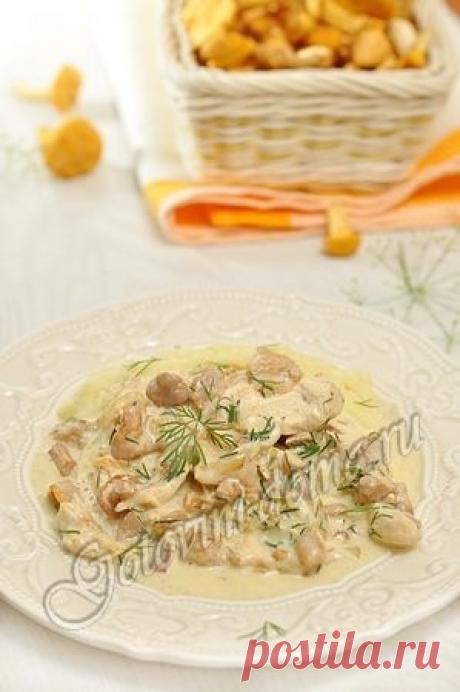Рецепт: Лисички с куриным филе в сметане
