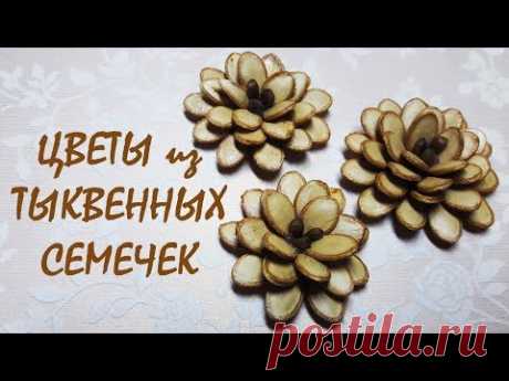 Цветы из тыквенных семечек / DIY