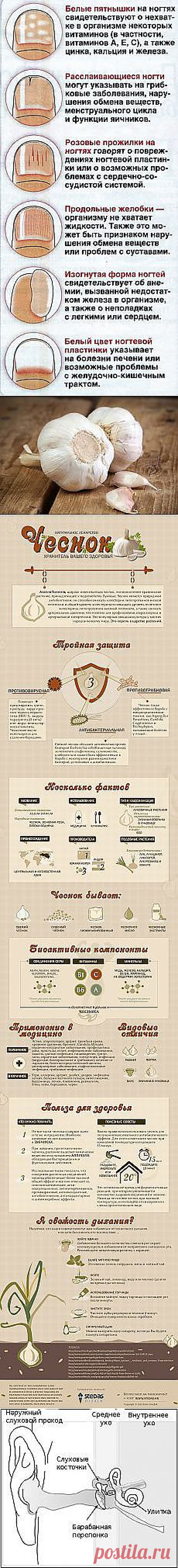 Петр Кайко: ЗДОРОВЬЕ | Постила.ru