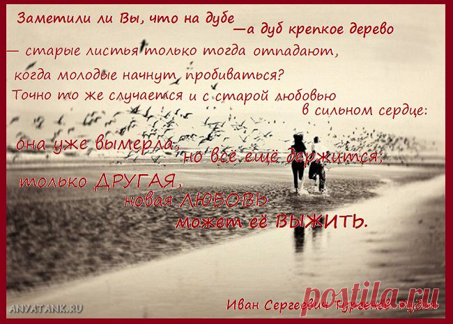 Иван Сергеевич Тургенев. Рудин