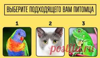 Тест: Какой из этих 8 основных типов интеллекта ваш?
