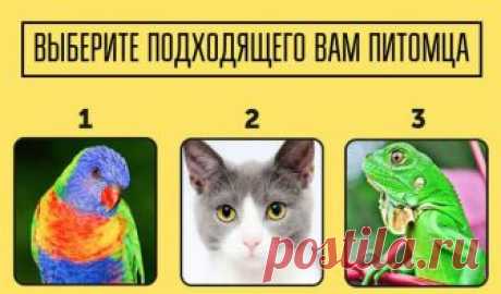 Тест: Какой из этих 8 основных типов интеллекта ваш?