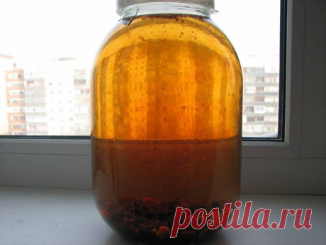 Одноклассники
