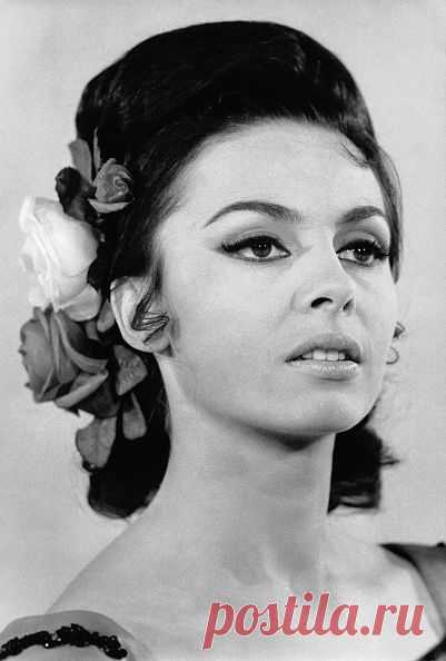 Подборка красивых фотографий Мишель Мерсье в молодости и сейчас