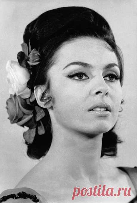 Подборка красивых фотографий Мишель Мерсье в молодости и сейчас