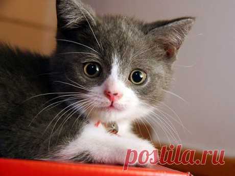 Chronik-Fotos | Facebook