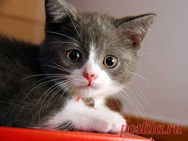 Chronik-Fotos | Facebook