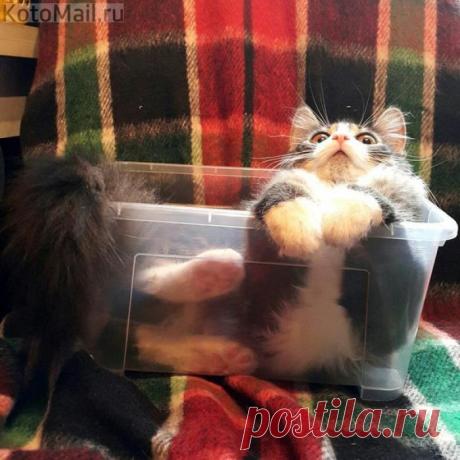 Здесь так удобно...