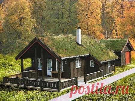 Травяная крыша