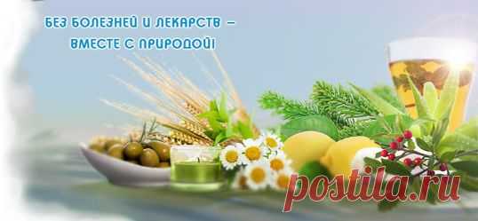 Очищение организма от шлаков в домашних условиях | Советы Народной Мудрости