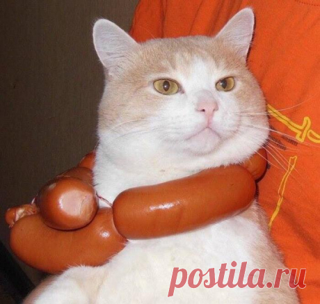 Котэ-триумфатор