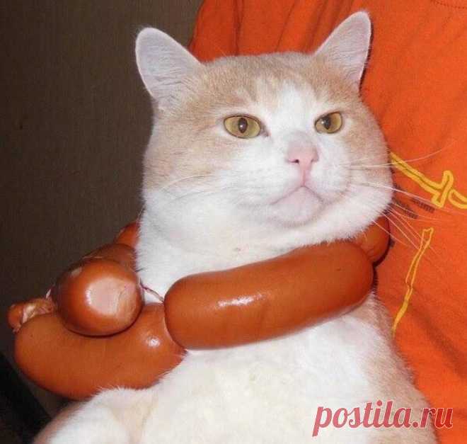 Котэ-триумфатор