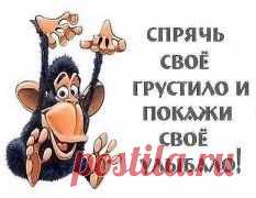 Картинки из тем