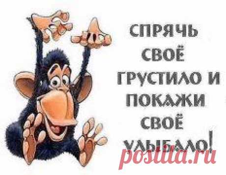 Картинки из тем