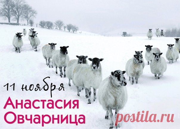 Если 11 ноября считался днем овчаров и пастухов, то 12 ноября поздравляли рыбаков и охотников. Открытки на День памяти Аврамия Овчар и Анастасии Овечницы!