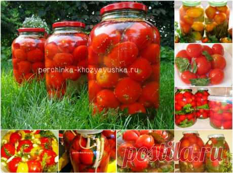 Квашенные соленые и малосольные помидоры на зиму в банках на любой вкус - Заготовки от Перчинки - Perchinka Hozyayushka.ru