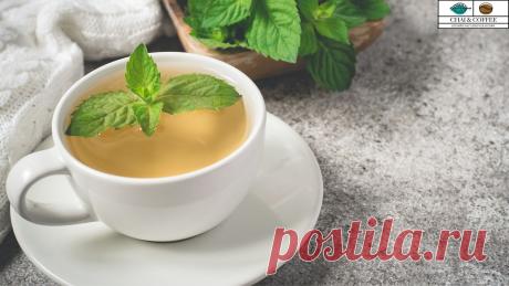 Преимущества употребления чая перед сном