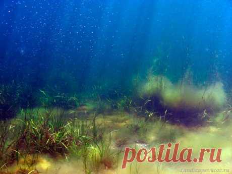 Underwater landscapes - Таманский залив 2008