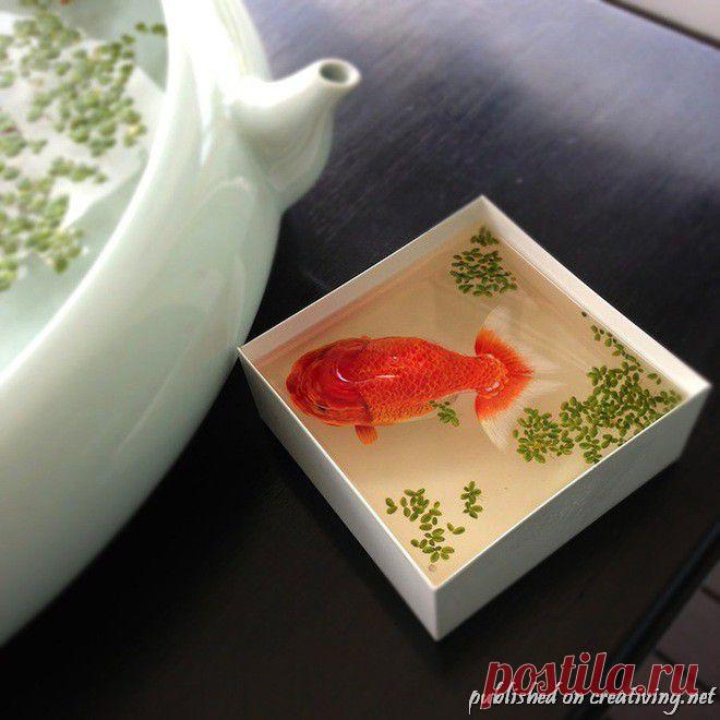 Жидкие трехмерные картины Кен Ли (13 фото) | Креативные фотографии