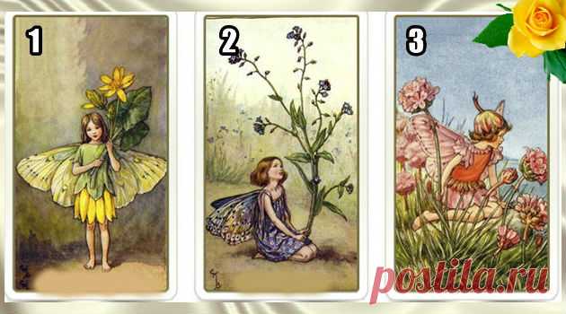 Лучшее предсказание &#8212; выбери карту и узнай свое будущее &#8212; Калейдоскоп чудес