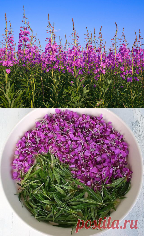 (10) Одноклассники