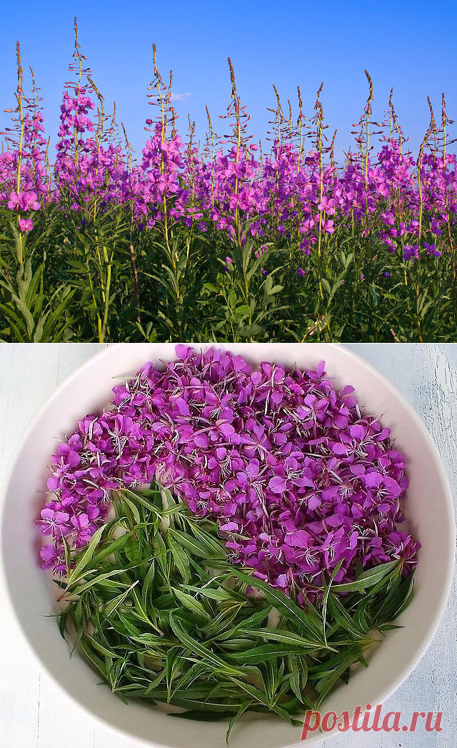 (10) Одноклассники