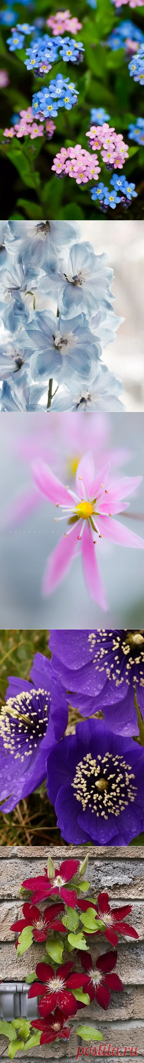 Фото – Google+