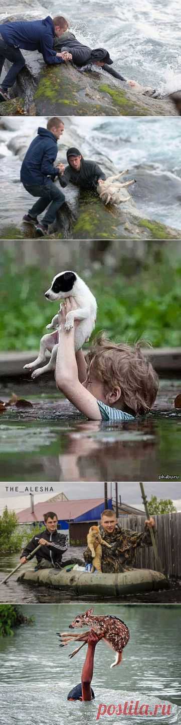 (99+) Одноклассники