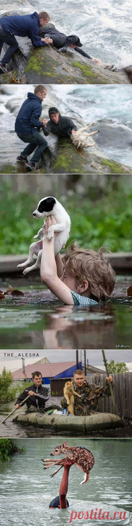 (99+) Одноклассники