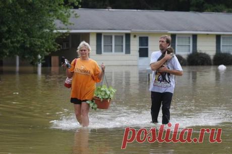 Каждый - своё сокровище...