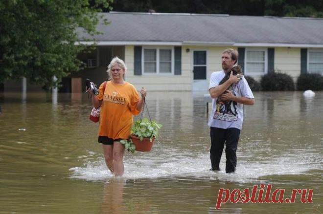 Каждый - своё сокровище...