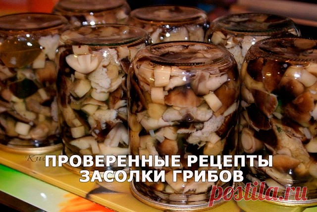 Комментарии к теме