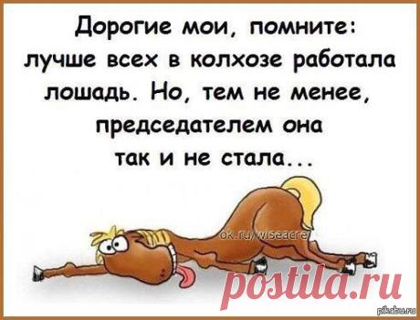 от работы кони дохнут