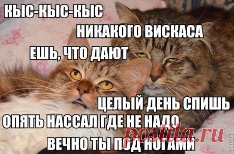 Мой Мир@Mail.Ru