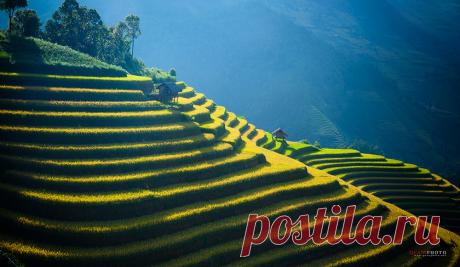 Magical light. - fotonik2