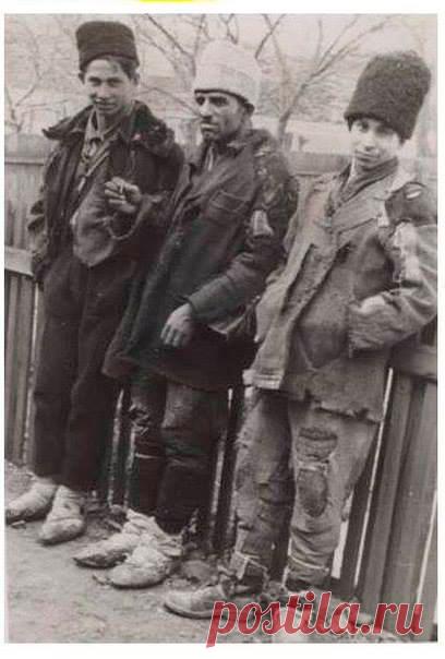 «С собаками и украинцами вход воспрещён»