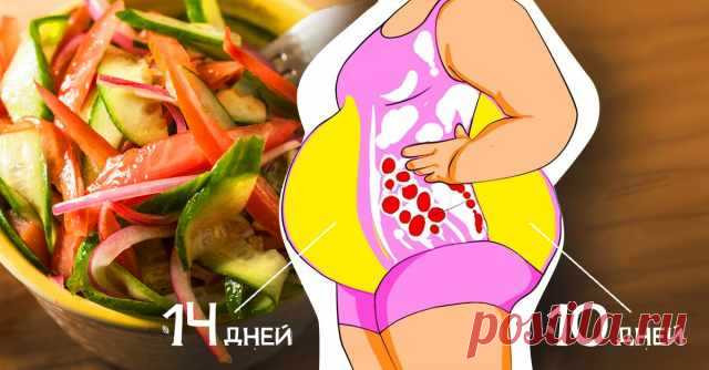 Белковые салаты для быстрого похудения: минус 3 кг за первую неделю, минус 5 — после второй. Целых шесть вариантов на разный вкус. — Домашняя кулинария