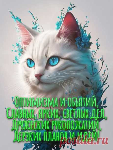 Открытка доброе утро с котом
