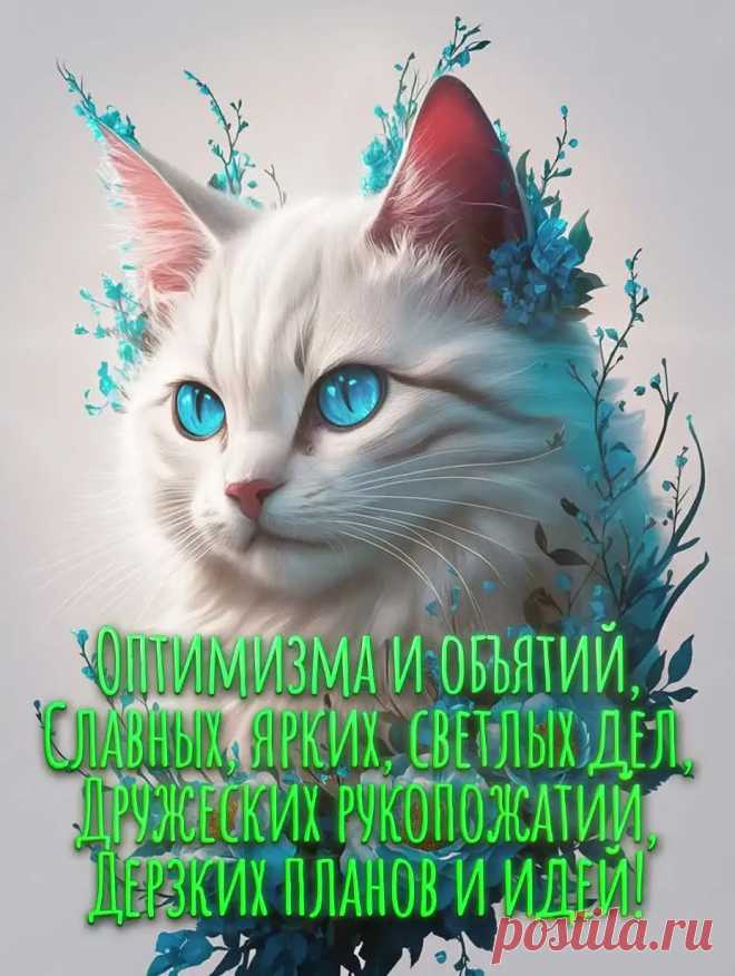 Открытка доброе утро с котом