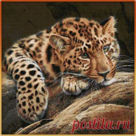 ВЫШИВКА-Гепард