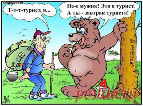 Интересные новости