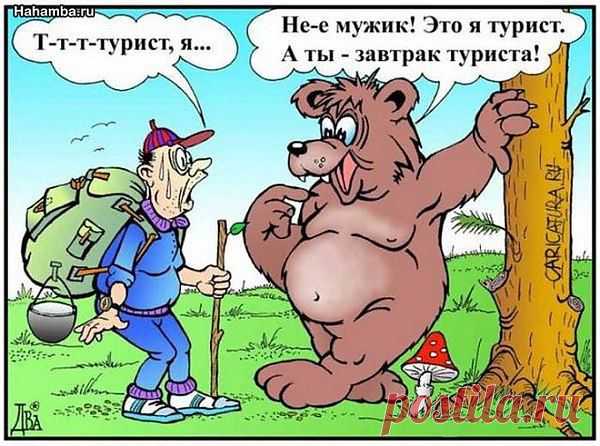 Интересные новости