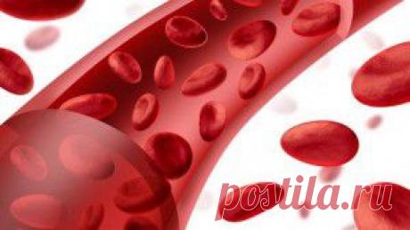 Очищение крови народными средствами