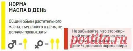 Полезные растительные масла, все виды и особенности.