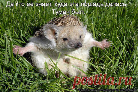 анатолий: Я ГОВОРЮ, ЧТО ДУМАЮ И ДУМАЮ, ЧТО ГОВОРЮ