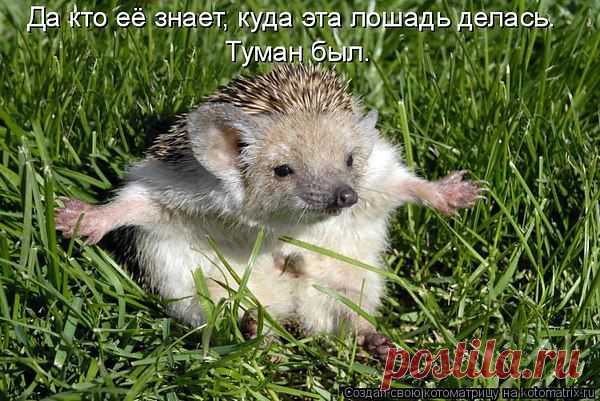 анатолий: Я ГОВОРЮ, ЧТО ДУМАЮ И ДУМАЮ, ЧТО ГОВОРЮ