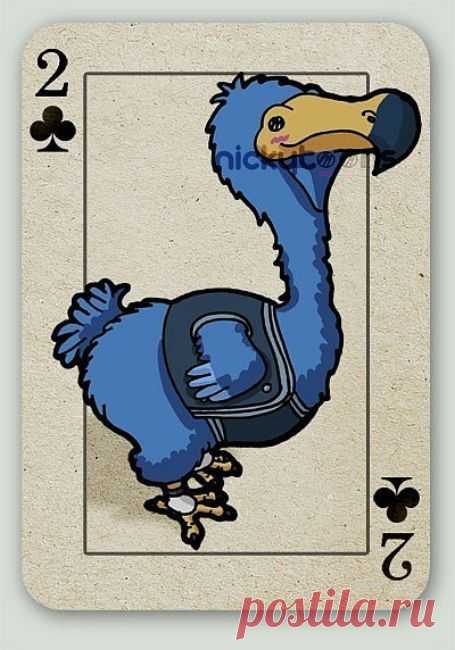 птица додо алиса в стране чудес: 4 тыс изображений найдено в Яндекс.Картинках