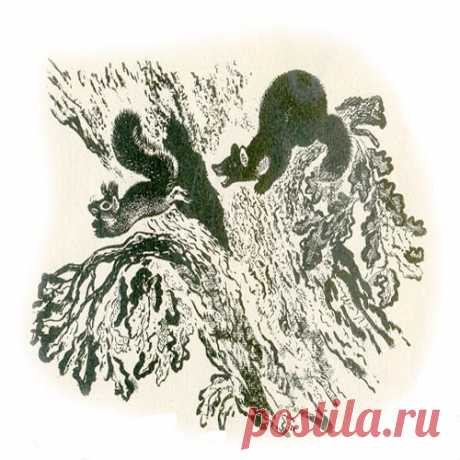 ТЕРЕМОК