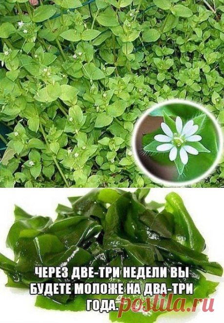 Одноклассники