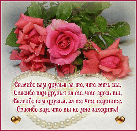 Спасибо вам друзья за то, что вы есть!